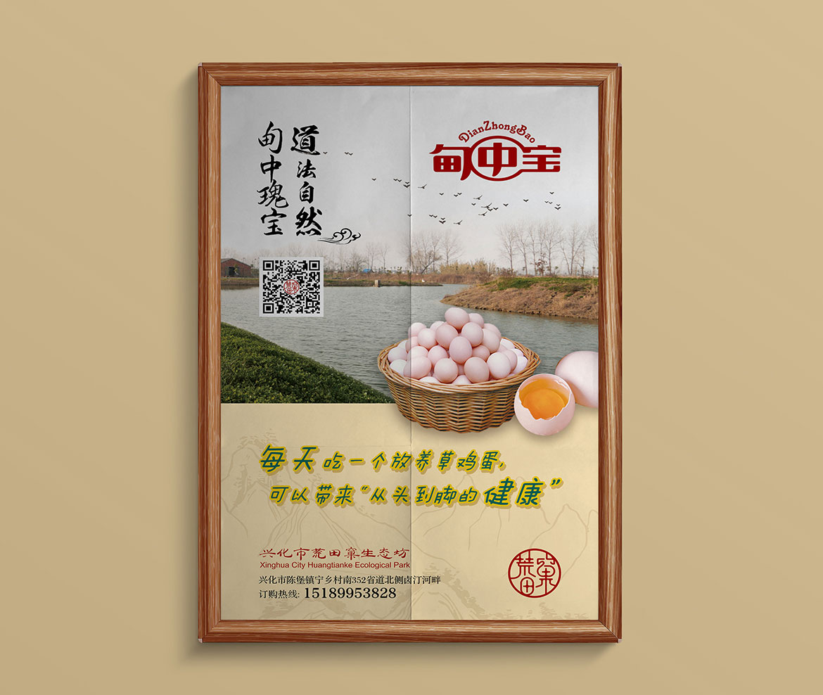 農產品品牌專業VI設計 甸中寶宣傳海報設計