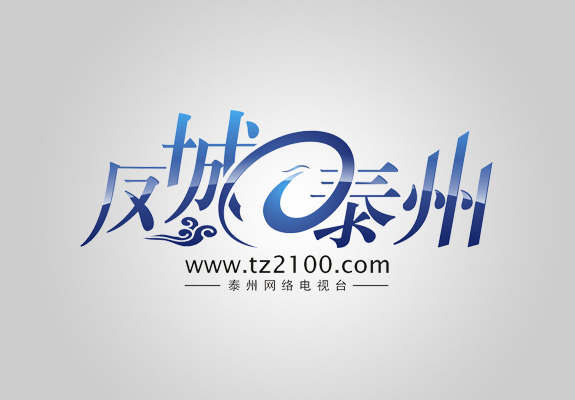門戶網站logo設計 鳳城泰州網站logo設計
